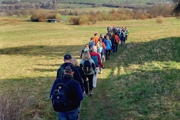 Eine lange Reihe von Wanderern auf einem Feldweg umgeben von grüner Landschaft.