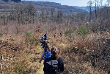 Menschenwanderung auf einem schmalen Pfad durch den Wald