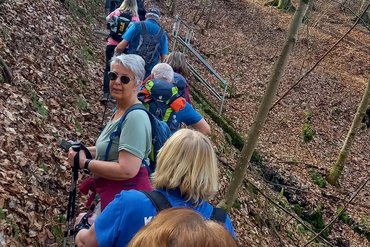 Teilnehmer bei einer Wanderung in einem waldreichen Gebiet