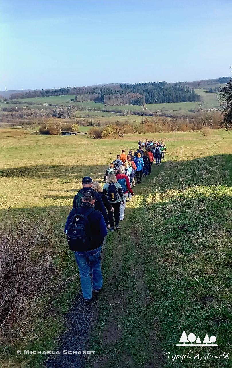 Eine lange Reihe von Wanderern auf einem Feldweg umgeben von grüner Landschaft.