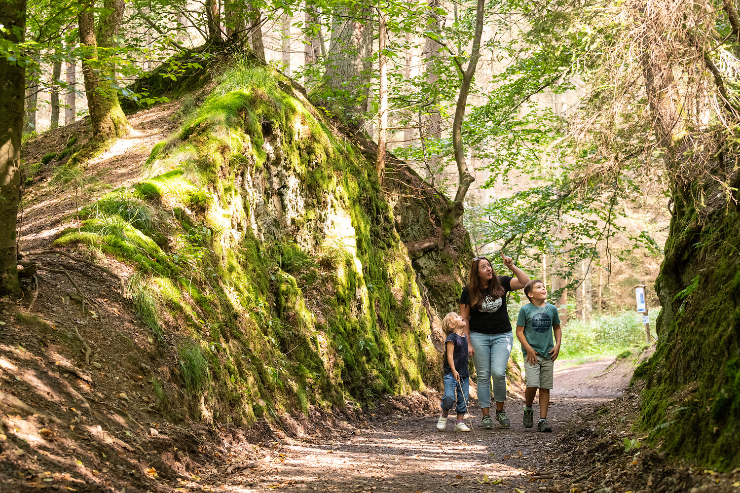 Kinder und Erwachsene erkunden einen bewaldeten Pfad