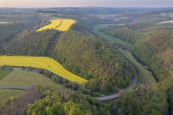 Strauscheid