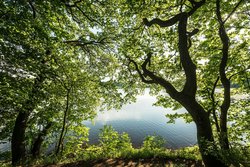 Haidenweiher