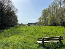 Wölferlinger Weiher