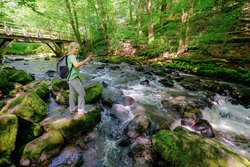 Holzbachschlucht