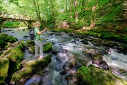 Holzbachschlucht