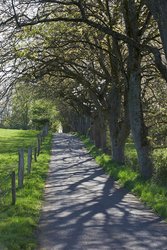 Wanderweg im Frühling