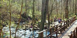 Holzbachschlucht