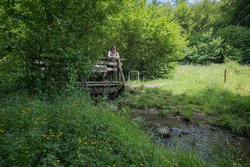 Holzbrücke über den Laubach