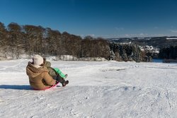 Schlittenfahren