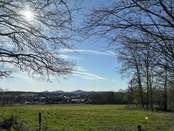 Landschaft