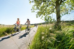 Westerwald-Rhein-Radweg