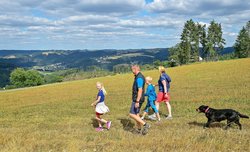 Mal Wald, mal Wiese mit Weitblick