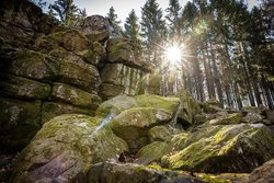 großer Wolfstein 2