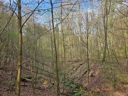 Ansicht kleine Holzbachschlucht