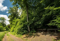 Hessenblick