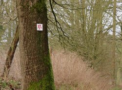 Das Wanderzeichen des Holzbockwanderweges