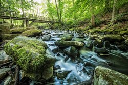 Die Holzbachschlucht