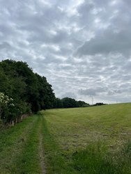 Hallerbach