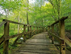 Brücke Holzbachschlucht