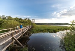 Dreifelder Weiher