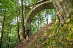 Eisenbahn-Viadukt Nistertal