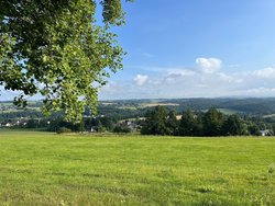 Bank mit Blick auf Neustadt