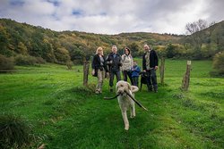Wanderer auf dem Weg hinab ins Wiedtal