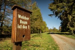 Ulmtalradweg am Knoten