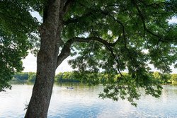 Secker Weiher 2