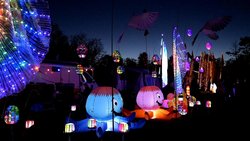 2024 Drachenfest_Nachts_v_Siegfried Mantel, Windec