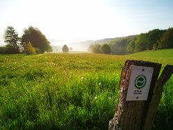 Blick von Borscheid ins Tal der alten Hütte
