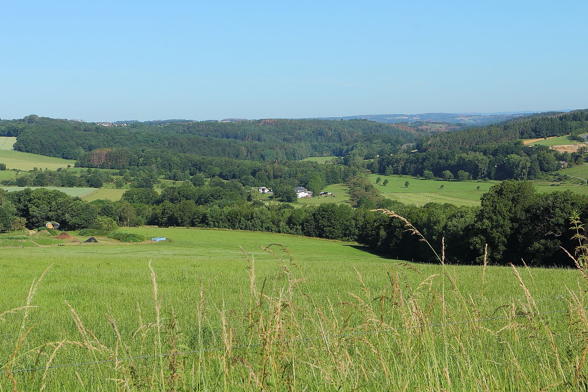 Blick ins Nistertal mit Nistermühle