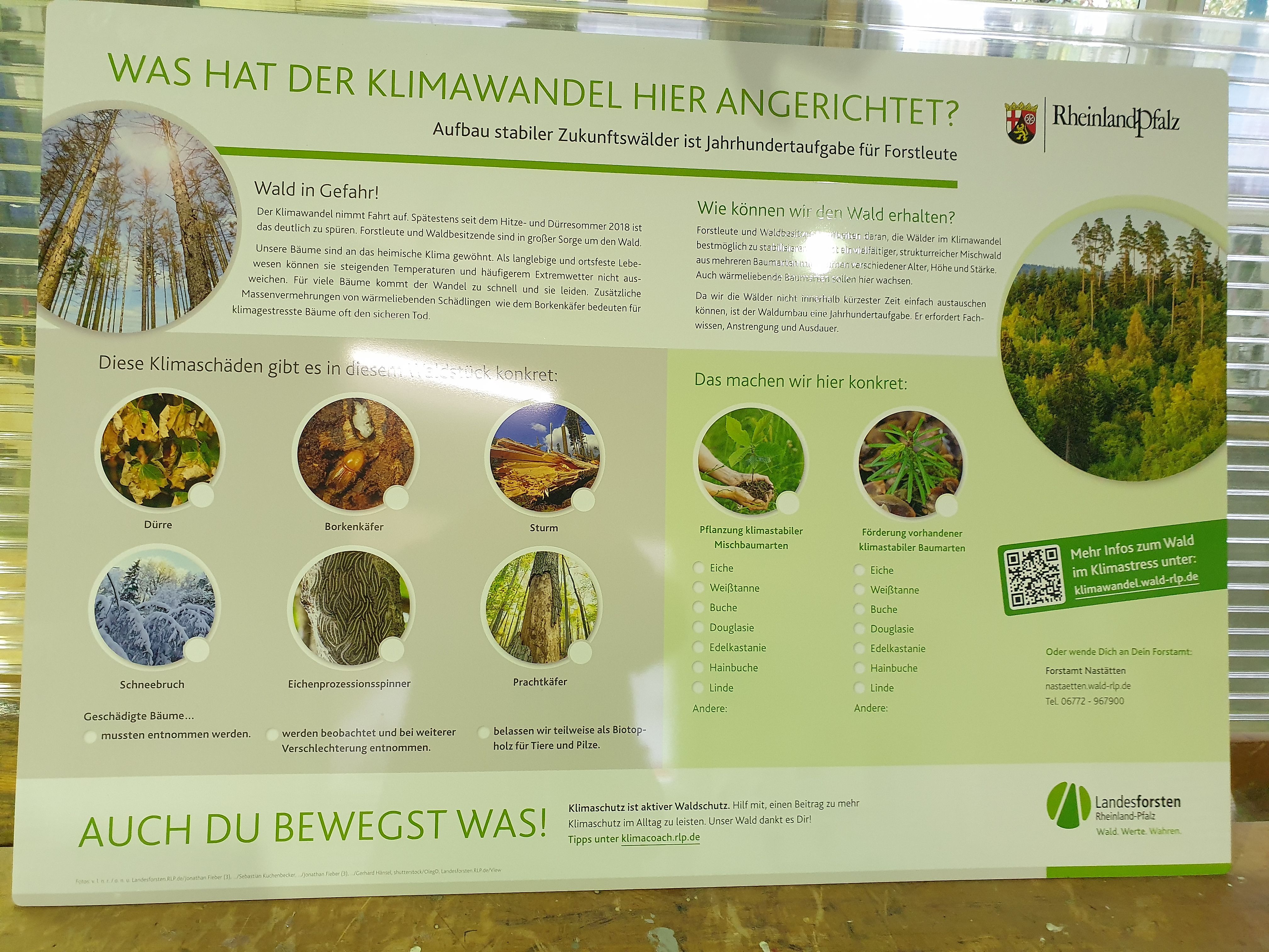 Klimawandel macht auch am Entdeckerweg nicht Halt