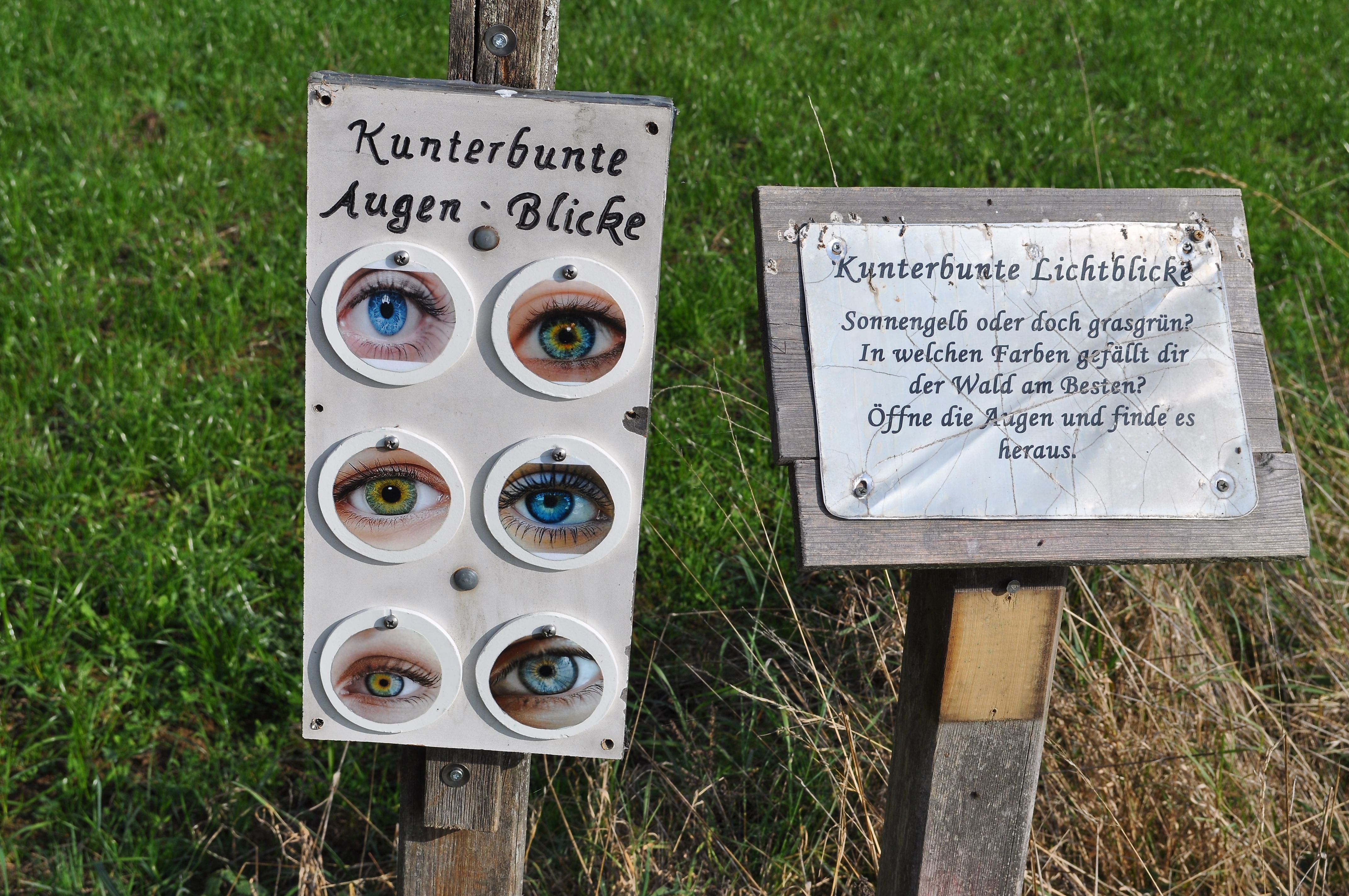 Kunterbunte Augenblicke - zeigt die Natur in vielen Farben