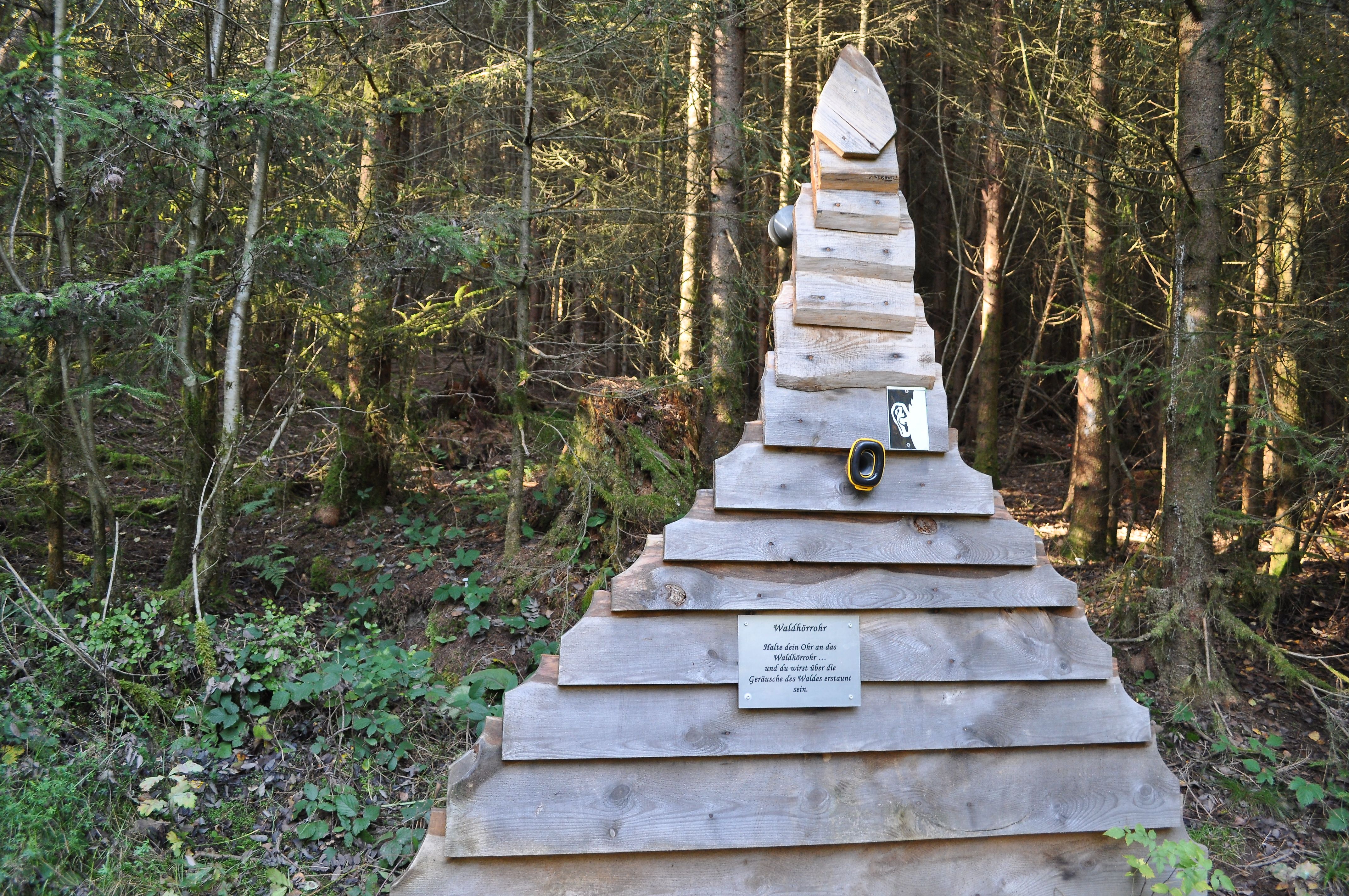 Waldhörrohr - hier hörst du in den Wald hinein