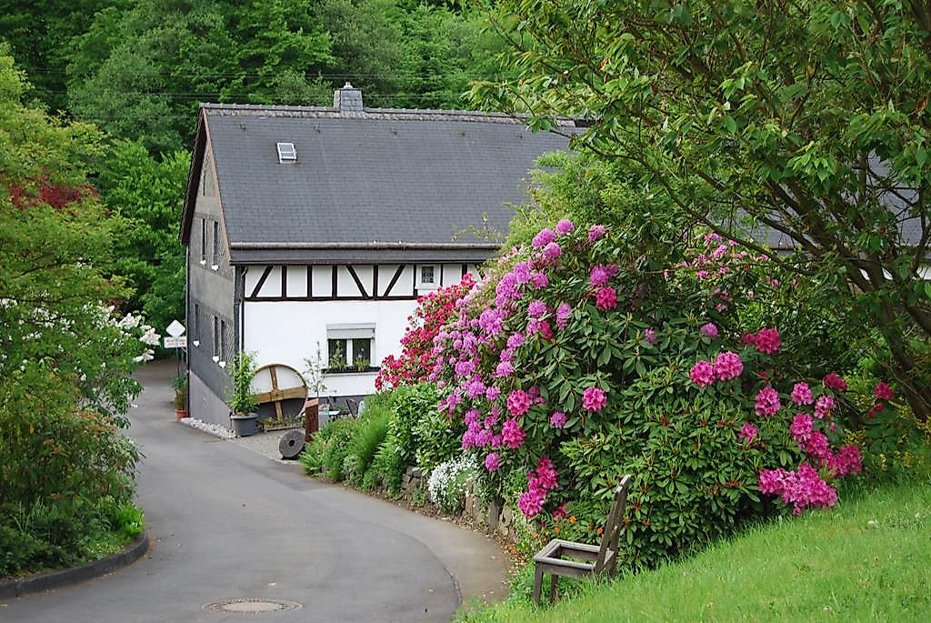Dickendorfer Mühle - historische Mühle im Elbbachtal