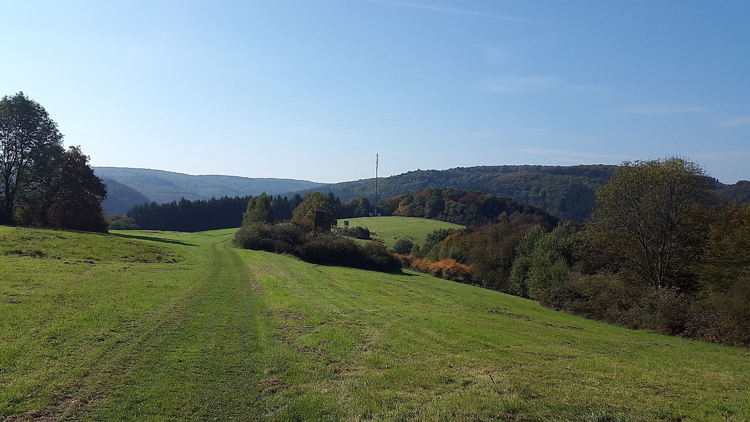 Ausblick auf die Wiesen zwischen Wolfenacker und Dazeroth am Sendemast