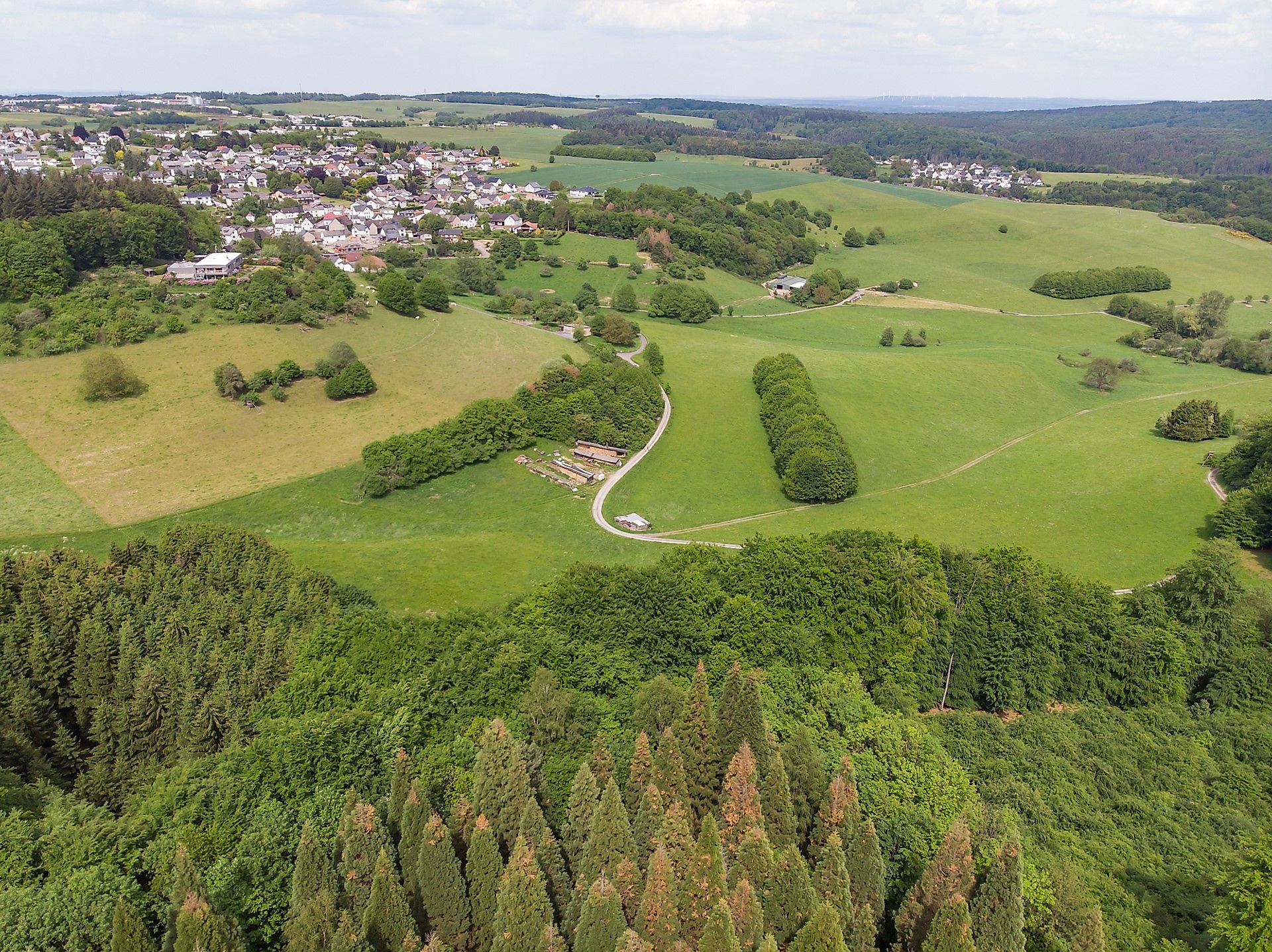 Blick auf Straßenhaus mit dem Mammutbaum-Wald im Vordergrund
