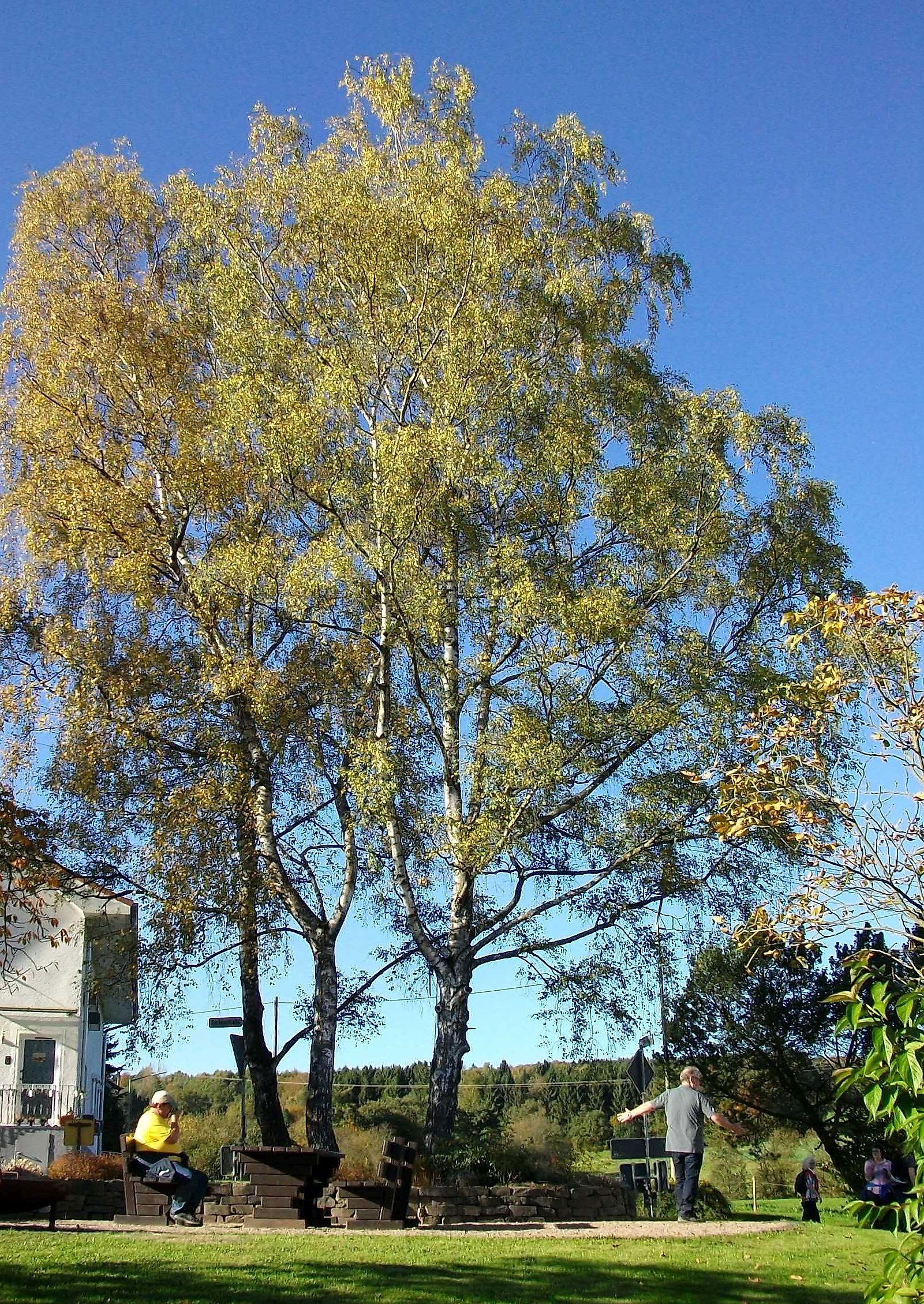 Dorfplatz mit Rastmöglichkeit - Wanderweg Hirz-Maulsbach