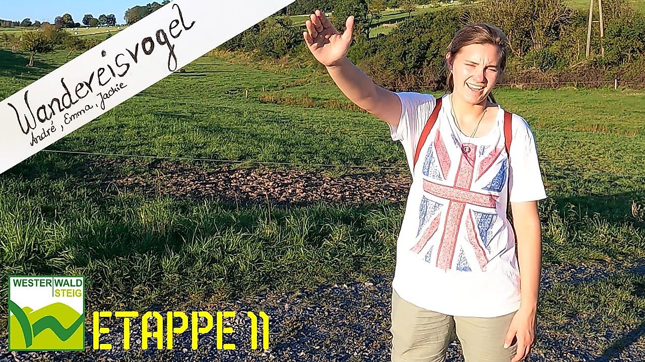 WesterwaldSteig Etappe 11: Wunderschöne Wanderung in den Sonnenuntergang und die Nacht