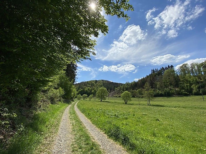 Weg am Holperbachtal