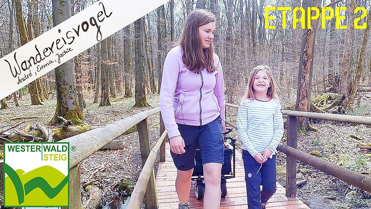 Höher geht es nicht! WesterwaldSteig Etappe 2 wandern: Von Breitscheid über die Fuchskaute nach Rehe