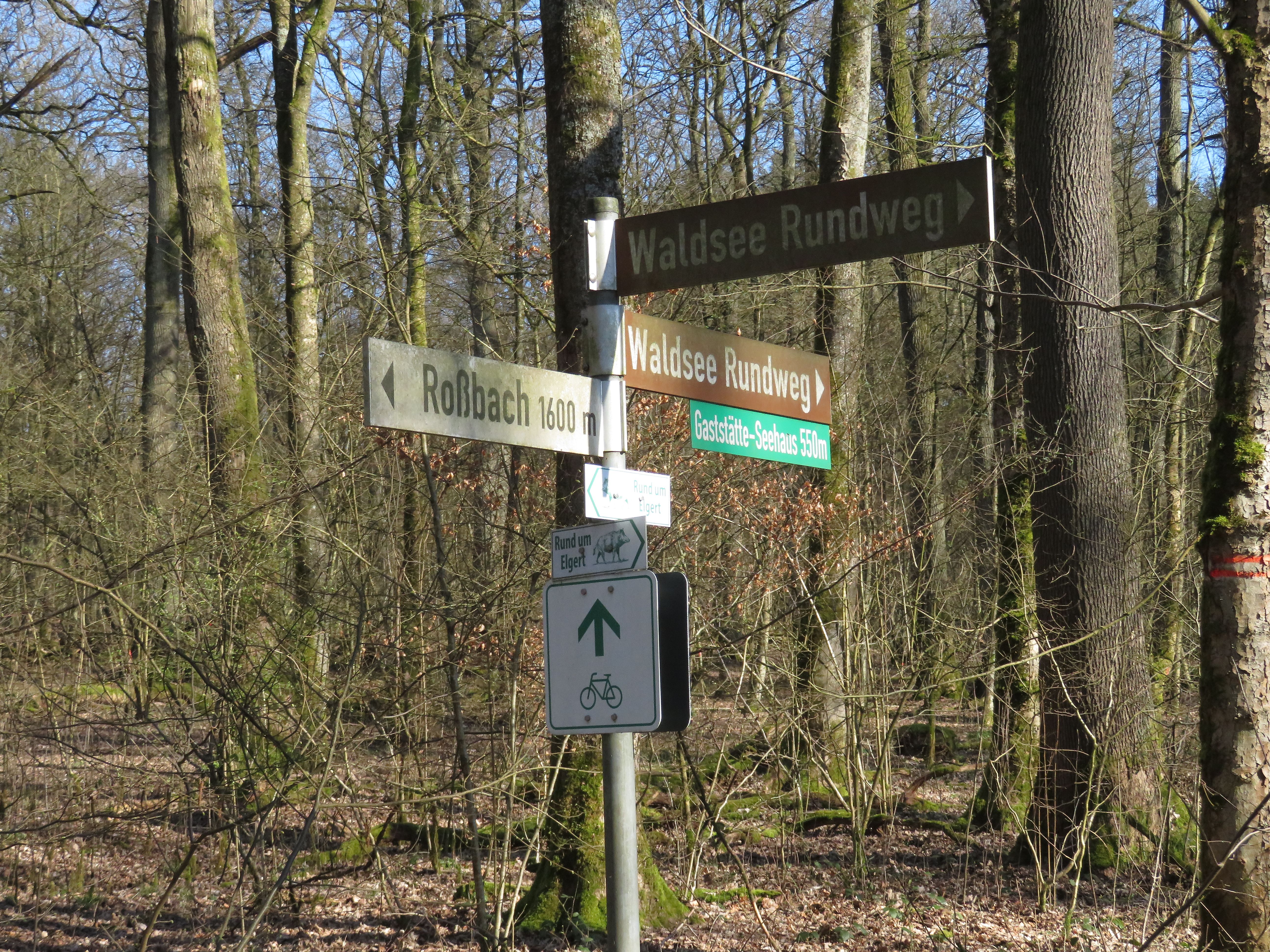 Abstecher zur Gaststätte Seehütte ? und oder noch Waldsee Rundweg?